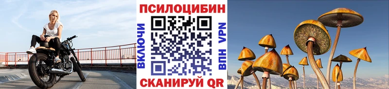 Купить где  Горбатов  Псилоцибиновые грибы GOLDEN TEACHER 